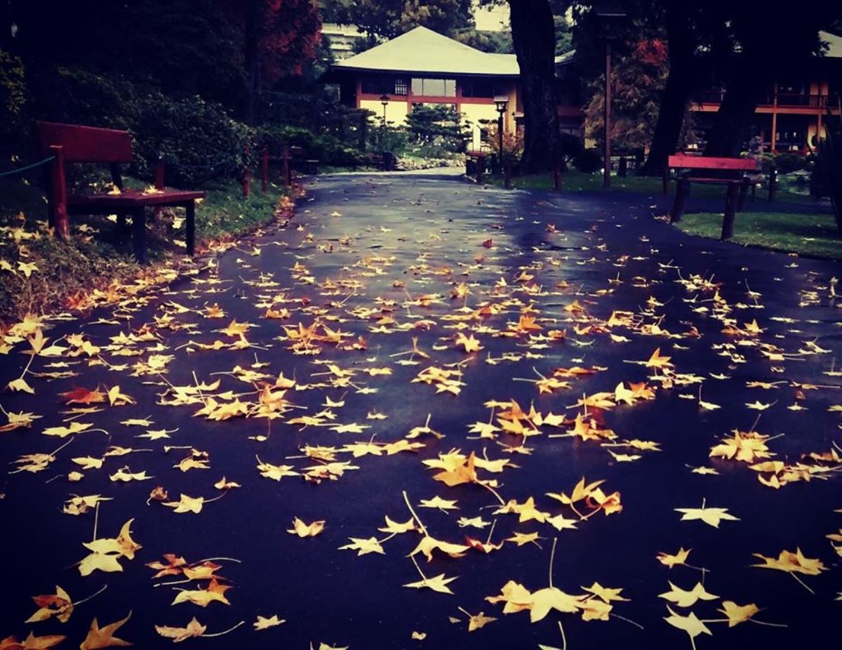 www.minutoneuquen.com jardinjapones000