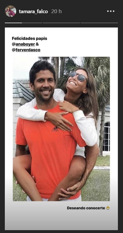 Storie de Tamara Falcó para su hermana Ana