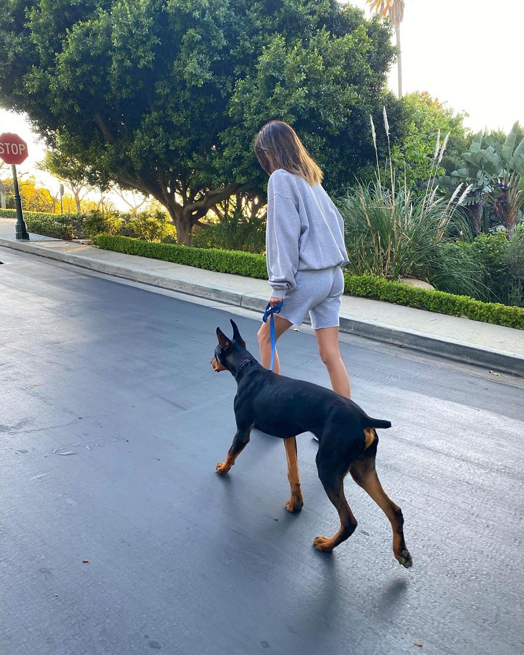 kendall3