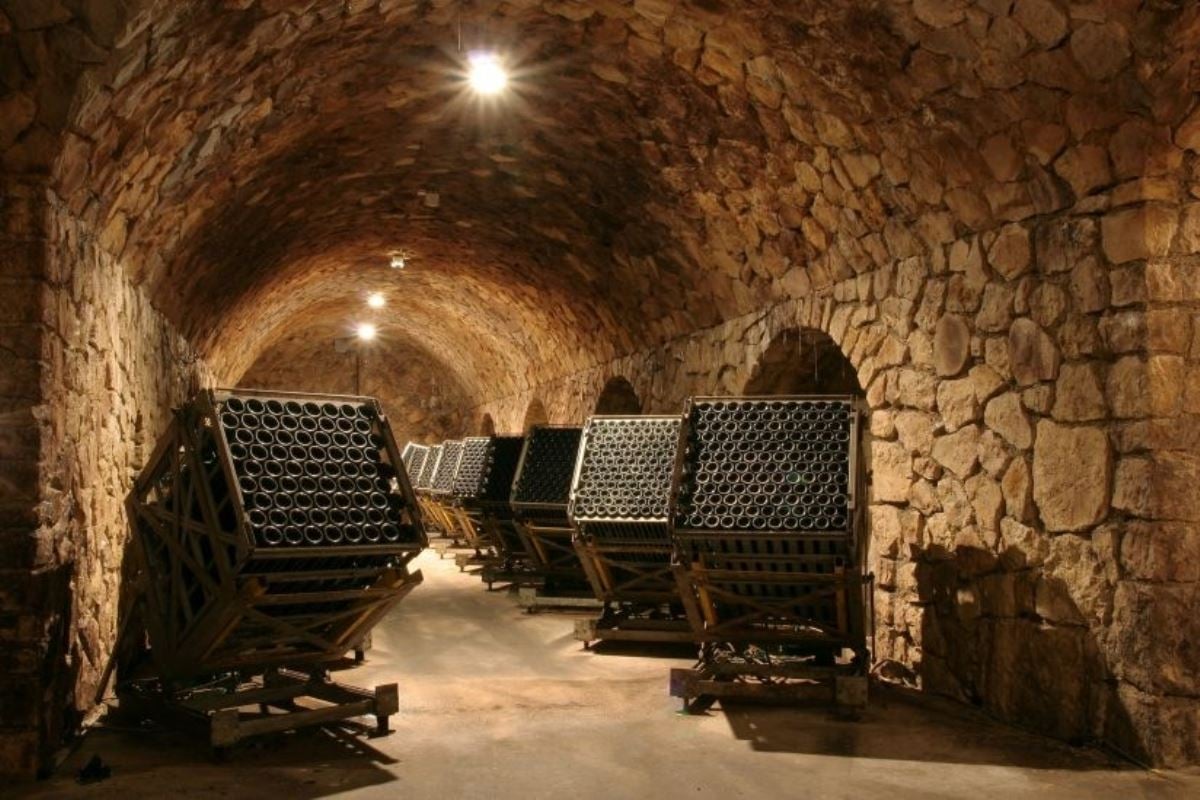 www.minutoneuquen.com vinosfrancia3