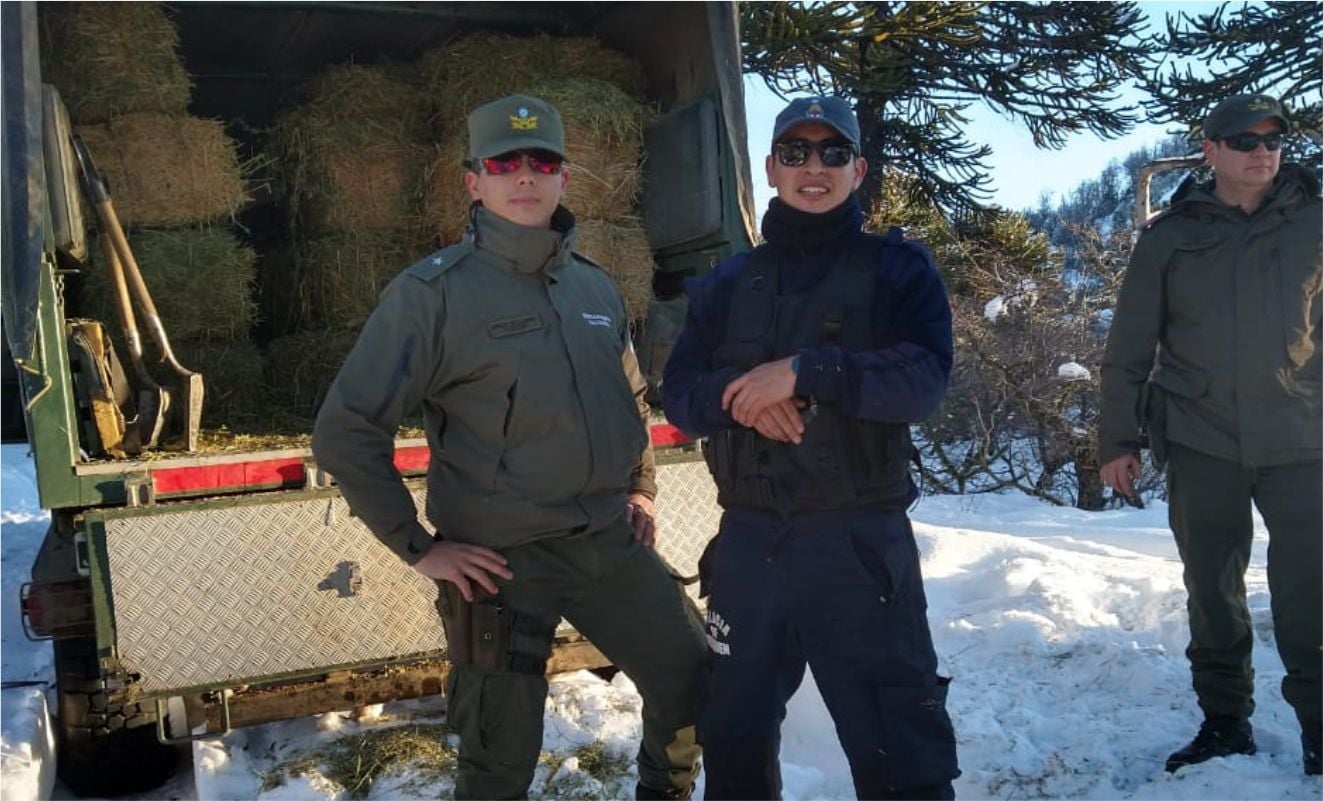 policia_ayuda_4