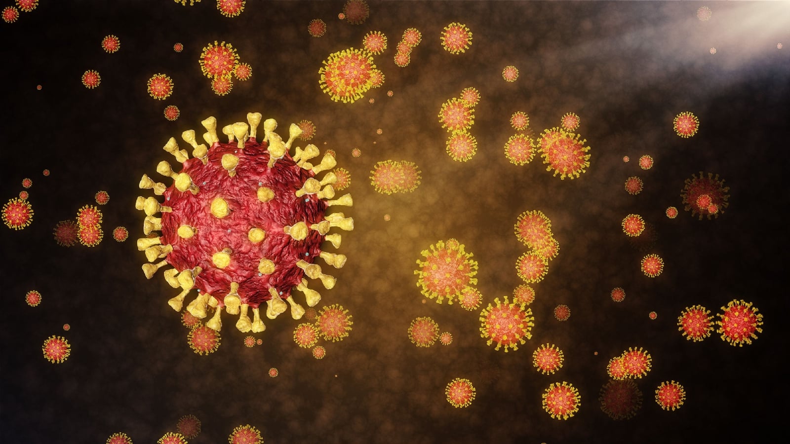 www.minutoneuquen.com coronavirus 1