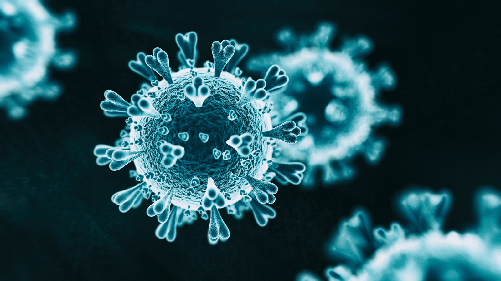 www.minutoneuquen.com coronavirus 1