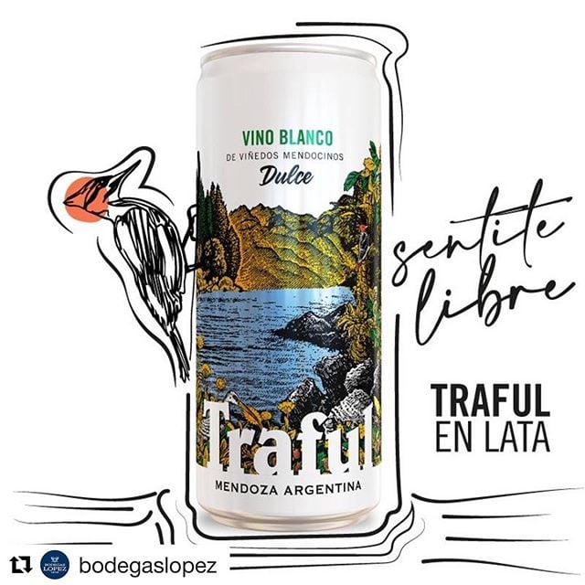 www.minutoneuquen.com traful lata2