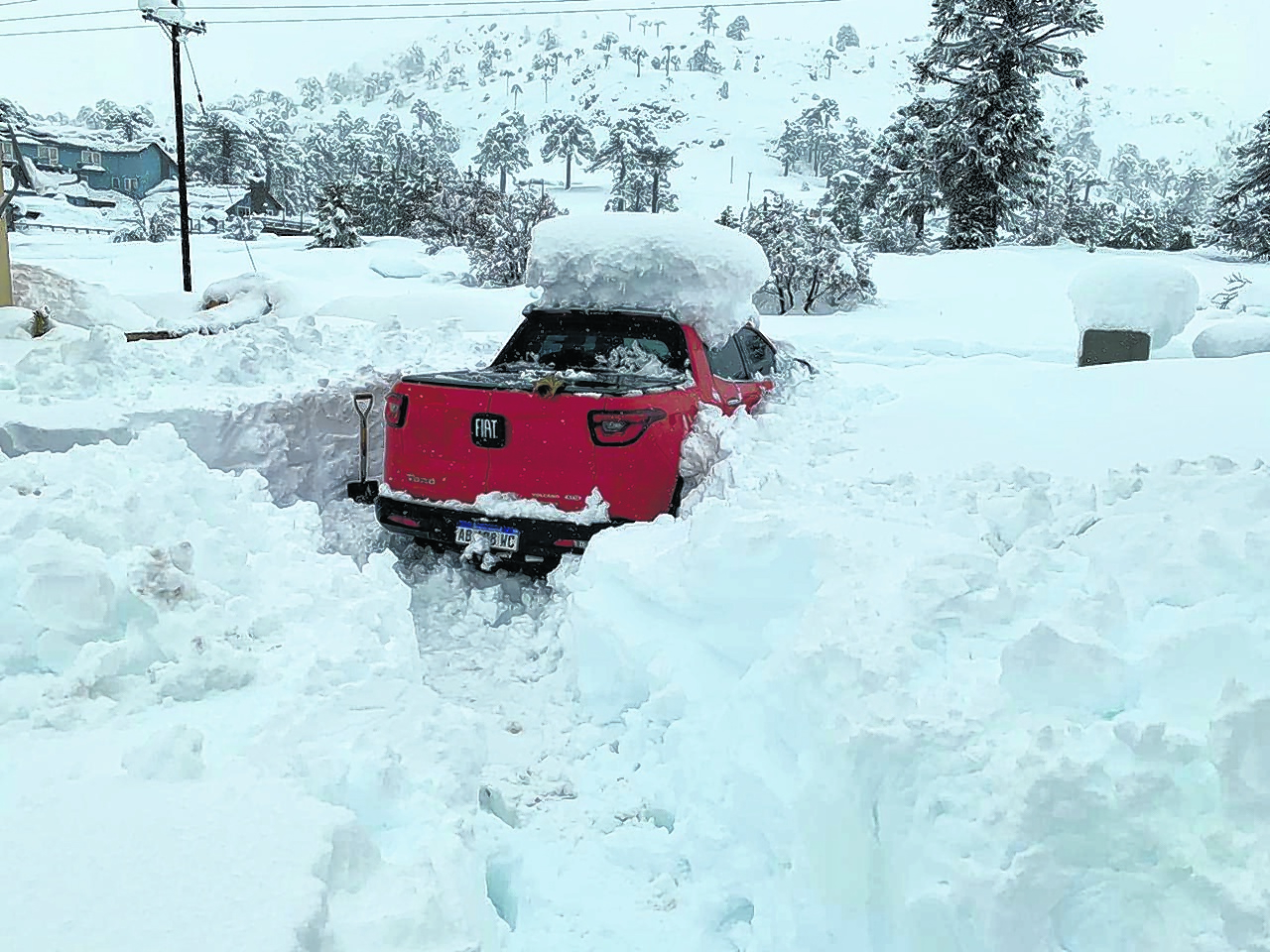 Nieve2