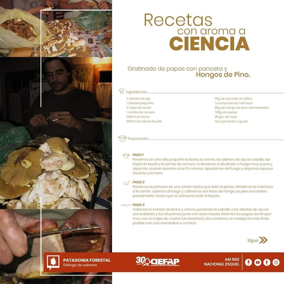 www.minutoneuquen.com recetasconhongos