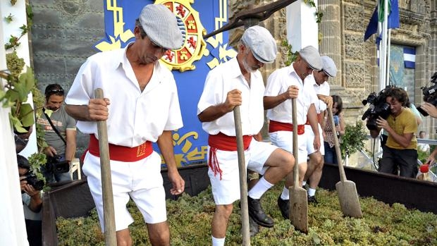 www.minutoneuquen.com vendimiajerez2