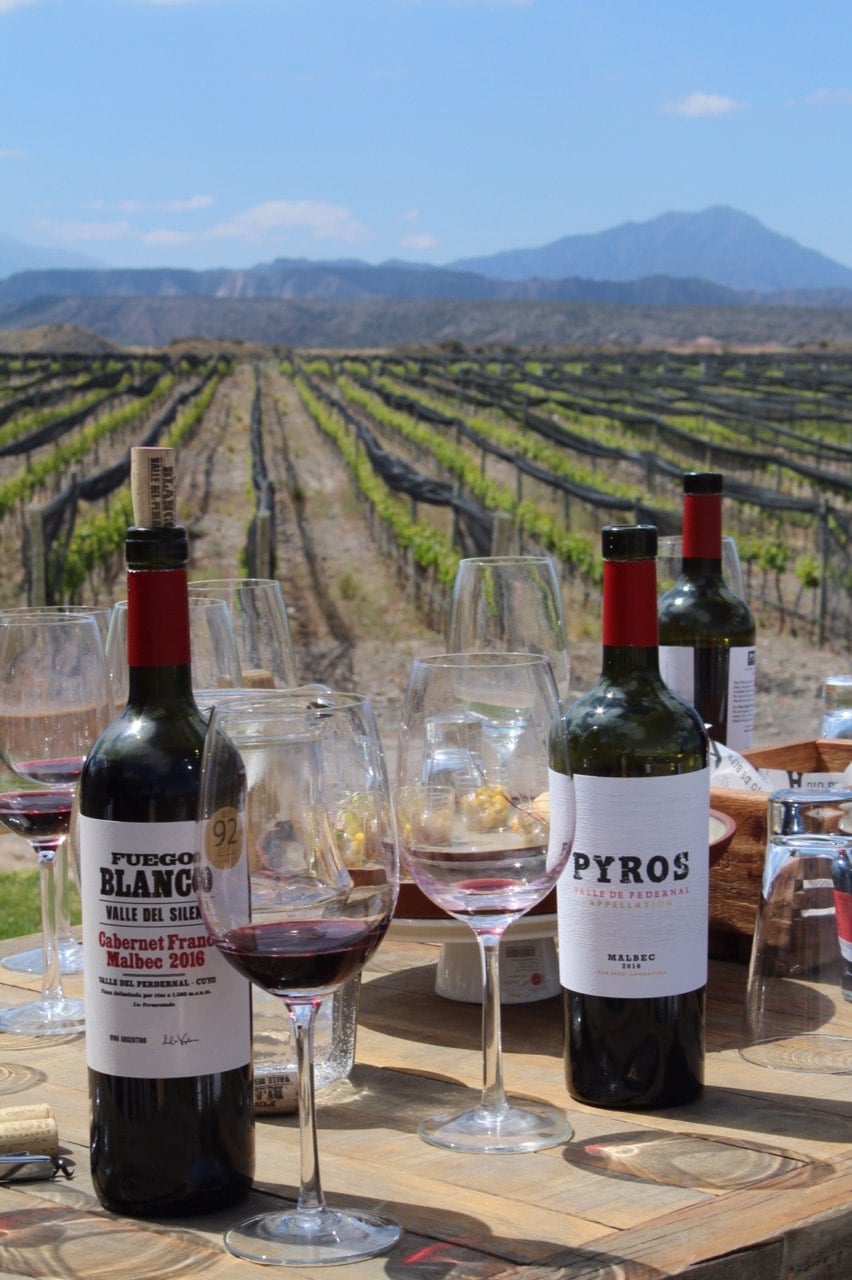 www.minutoneuquen.com vino4