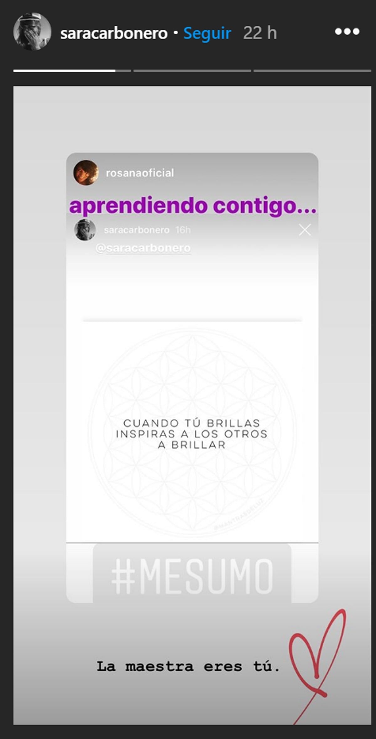 www.minutoneuquen.com Sara Carbonero3