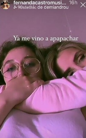 la gaviota2