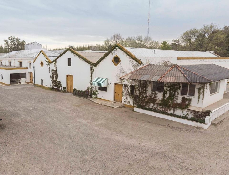 www.minutoneuquen.com enoturismo2