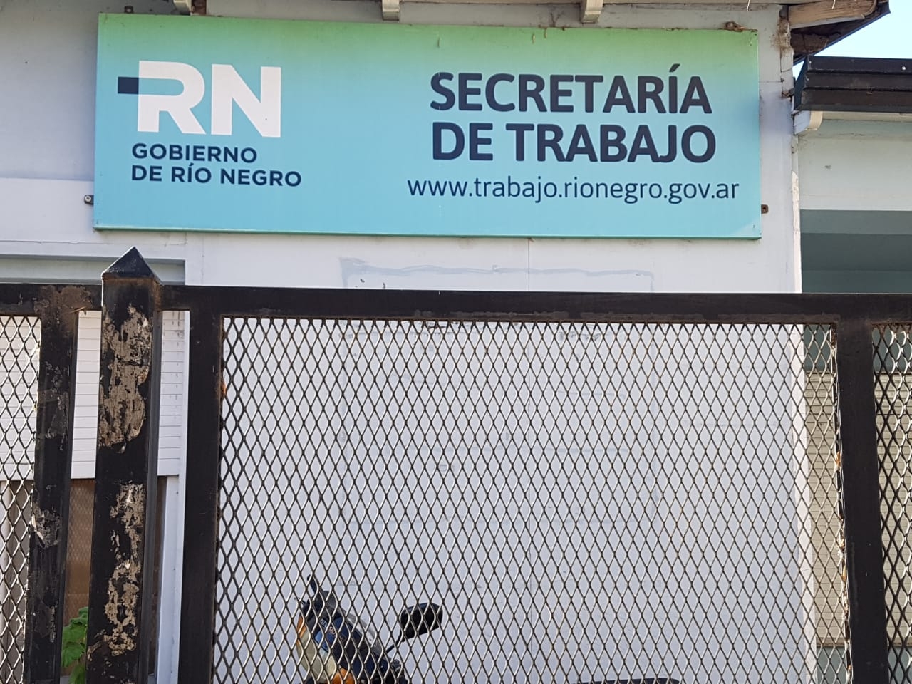 www.minutoneuquen.com secretaria de trabajo rn
