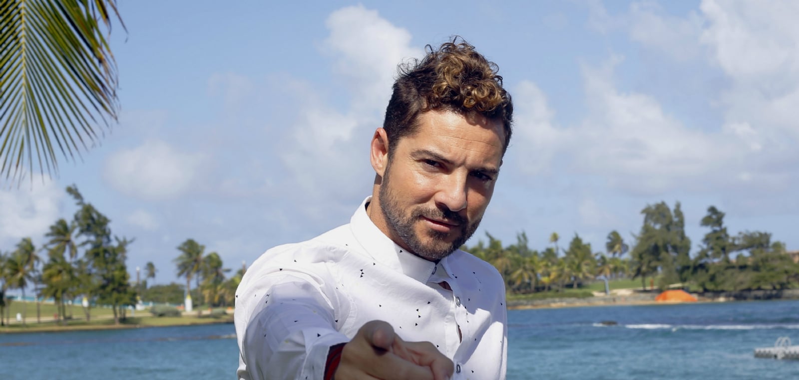davidbisbal