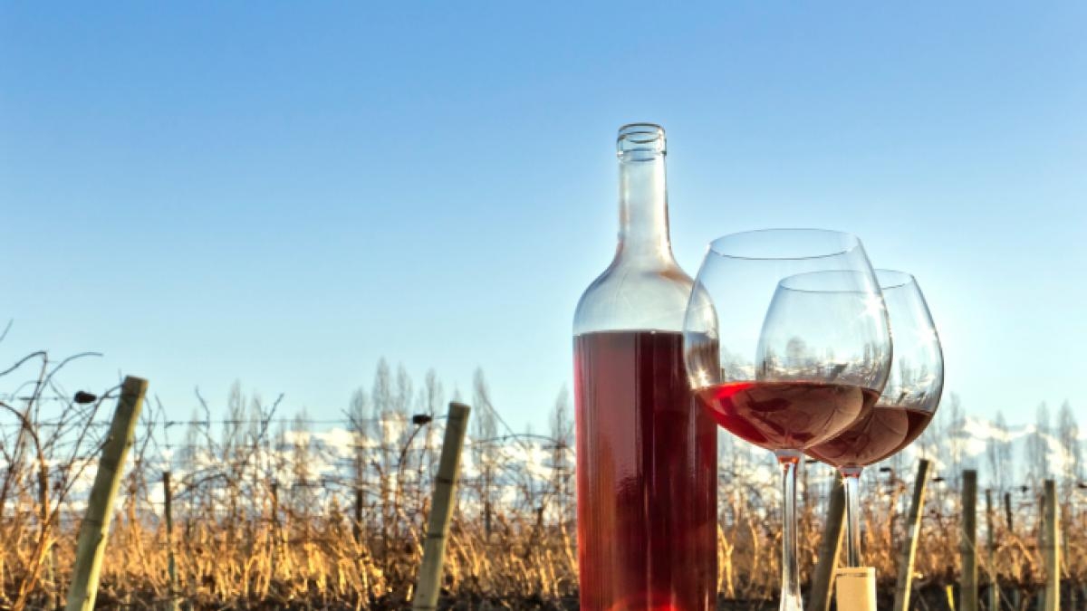 www.minutoneuquen.com vino1