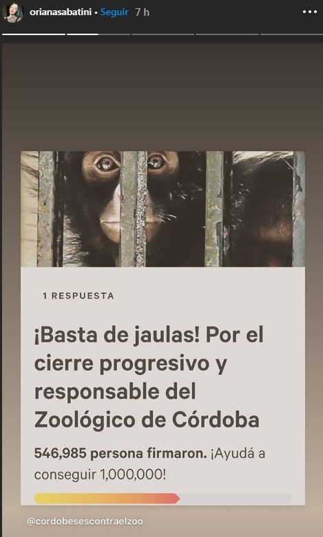www.minutoneuquen.com ORIANA SABATINI 2