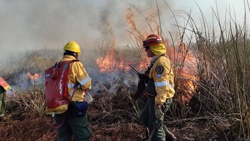 incendio en el delta