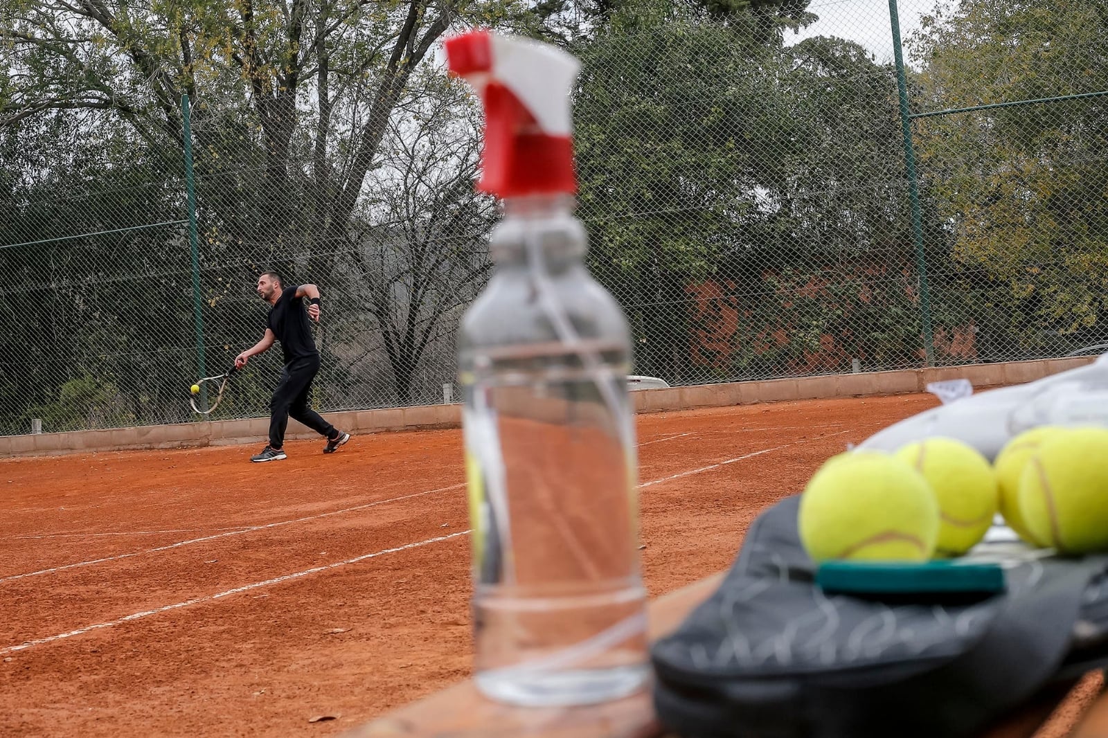 tenis