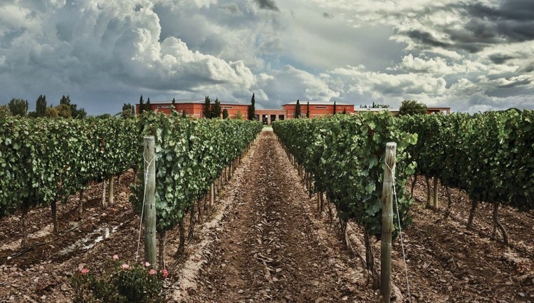 www.minutoneuquen.com bodegarucamalen2