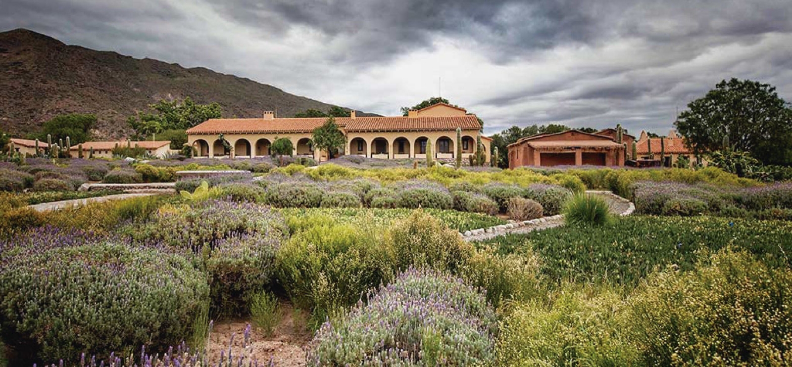 www.minutoneuquen.com bodegasargentinas3
