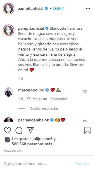 cap pampita