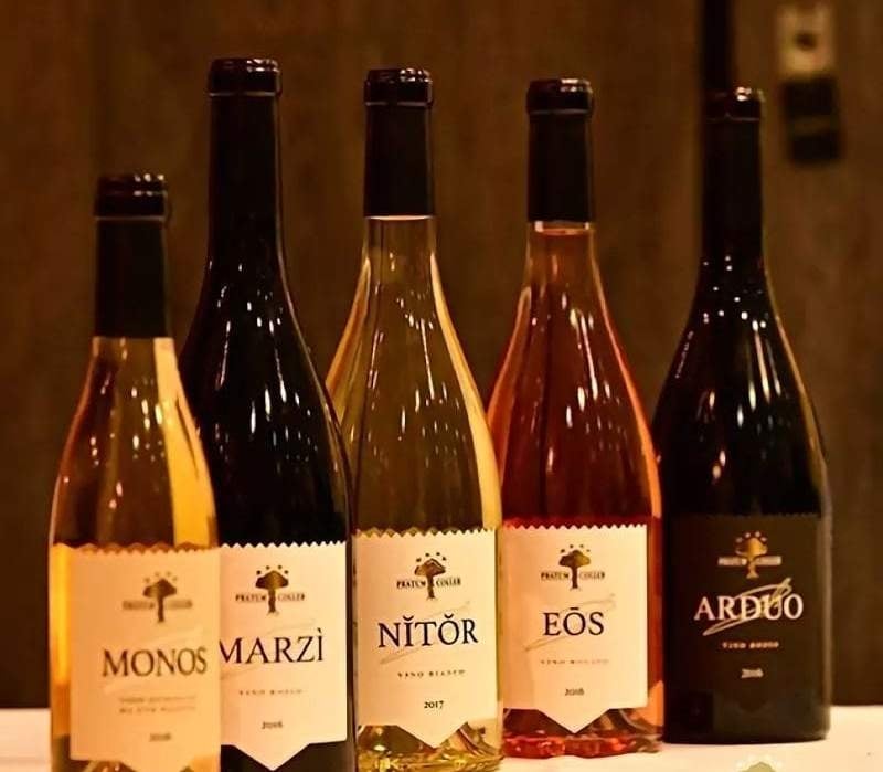 www.minutoneuquen.com vinopirlo5