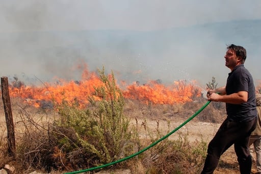 damián de Santo fuego 2