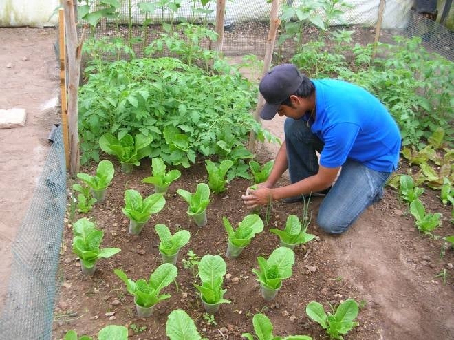 www.minutoneuquen.com agriculturaorg1