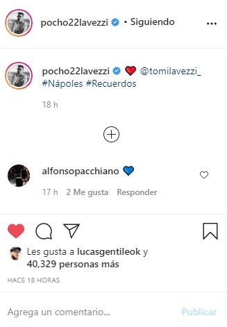 pocho