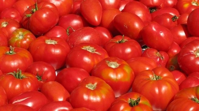 www.minutoneuquen.com alimentos1