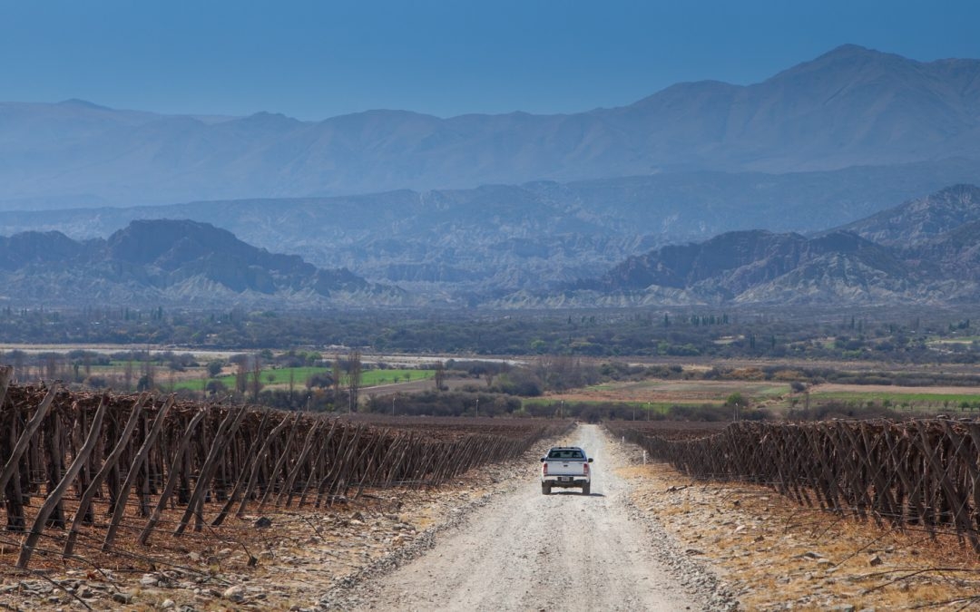 www.minutoneuquen.com enoturismocatamarca1
