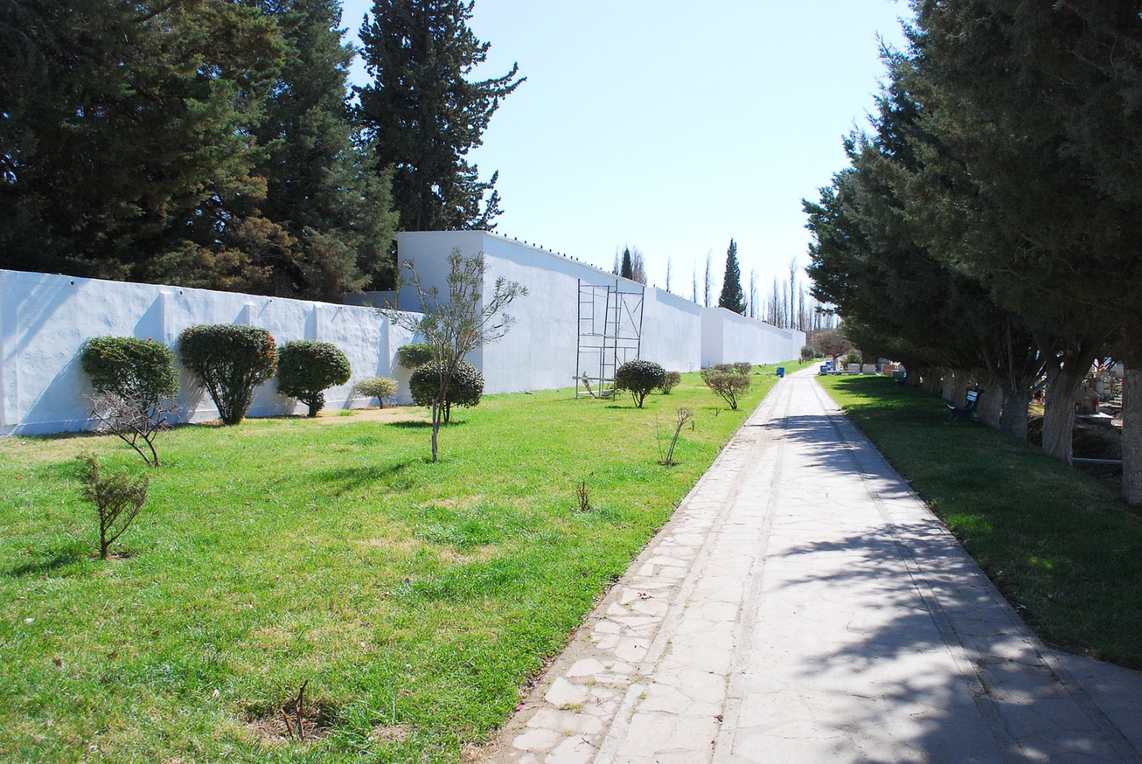 roca3