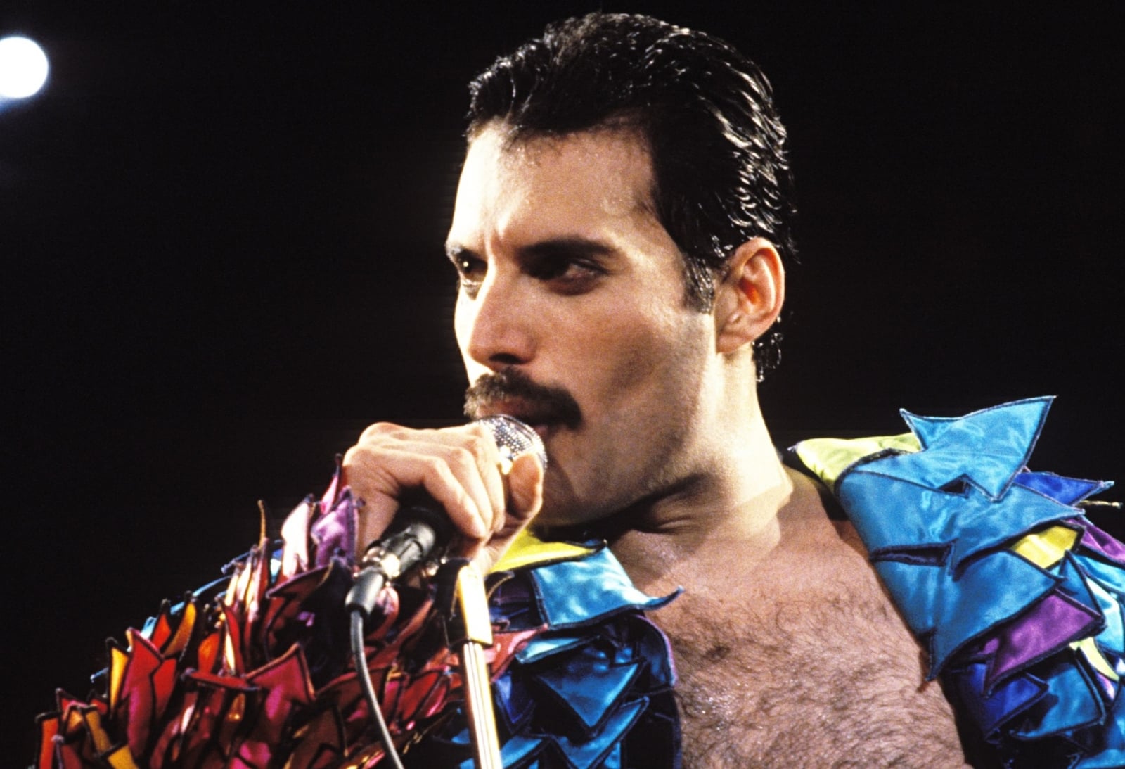 freddieportada