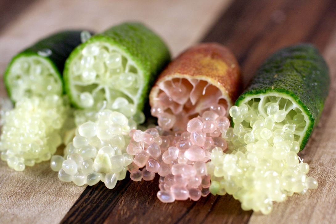 www.minutoneuquen.com fingerlime5