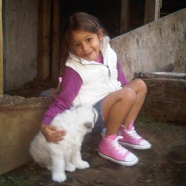 Vicuña Blanca2