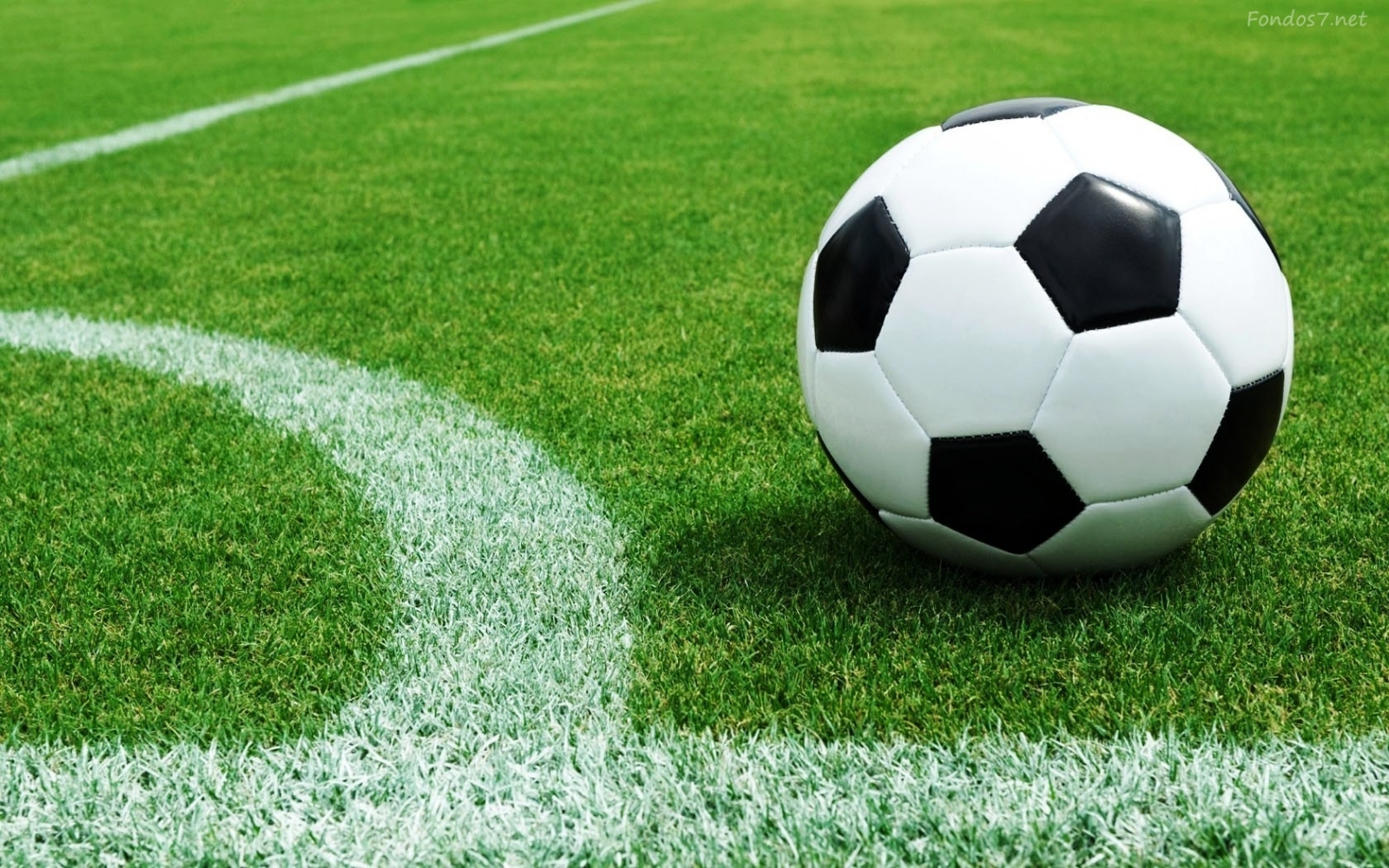 www.minutoneuquen.com futbol