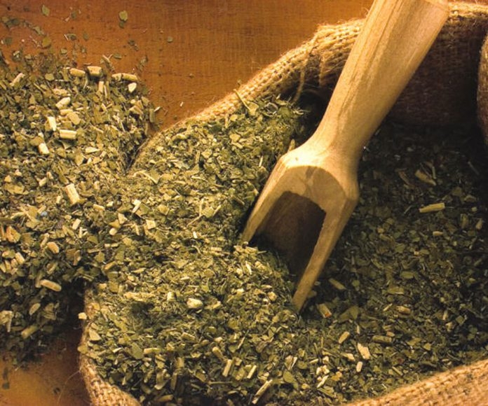 www.minutoneuquen.com yerbamate2