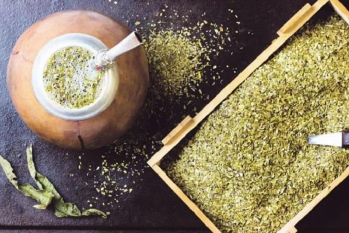 www.minutoneuquen.com yerbamate00
