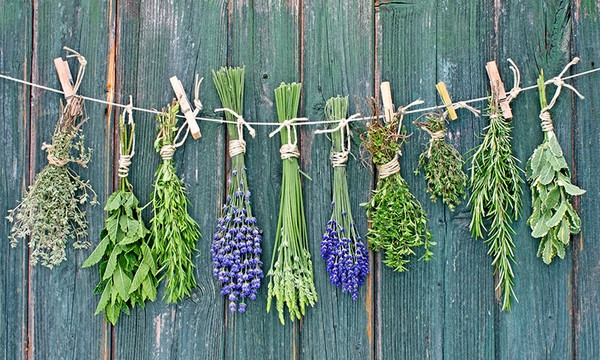 www.minutoneuquen.com aromaticas1