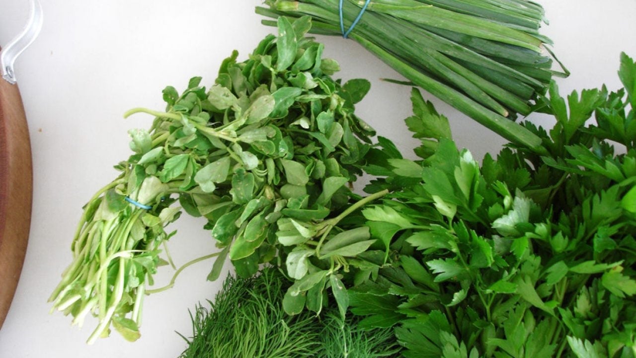 www.minutoneuquen.com aromaticas00