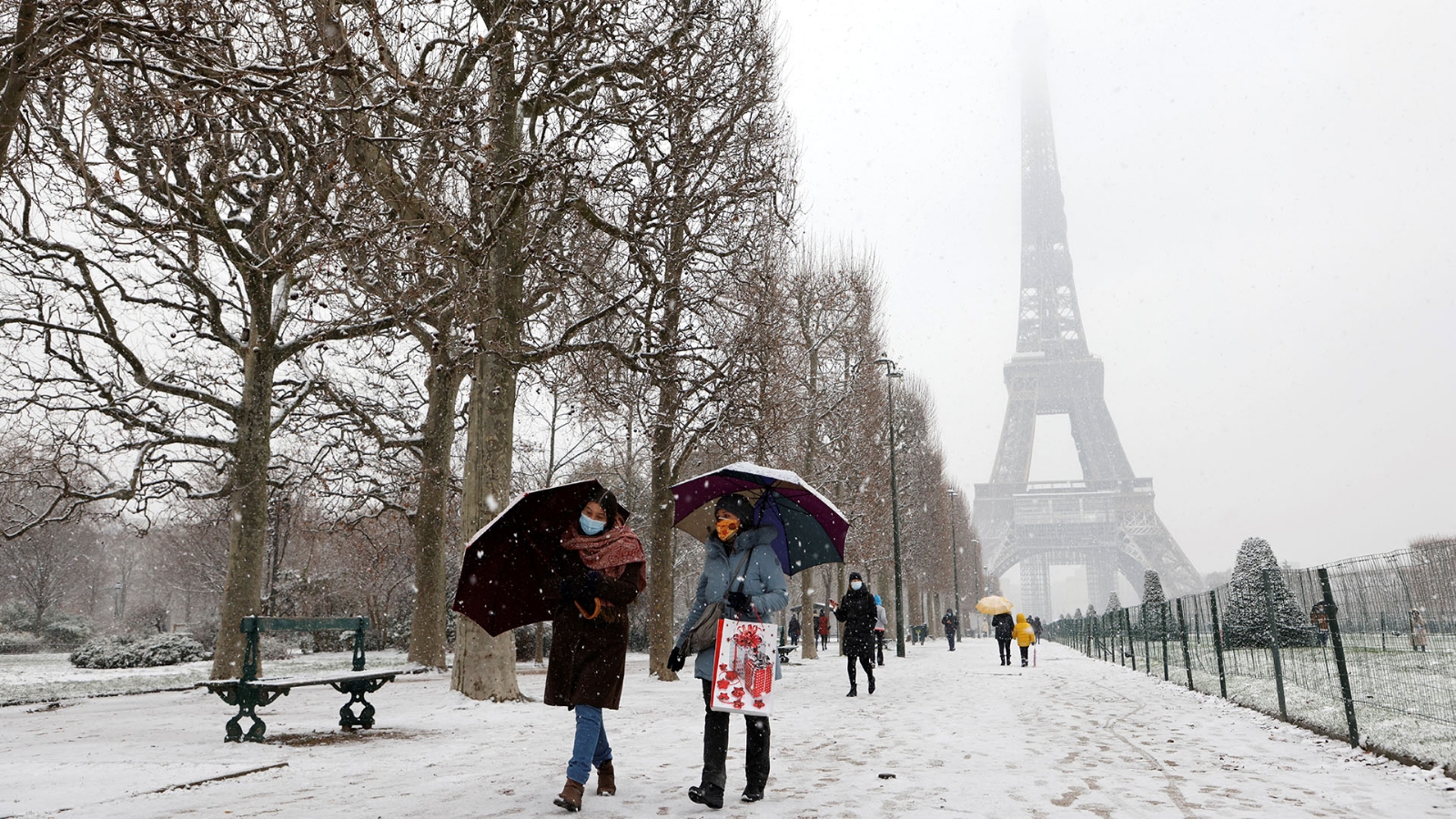 francia 1