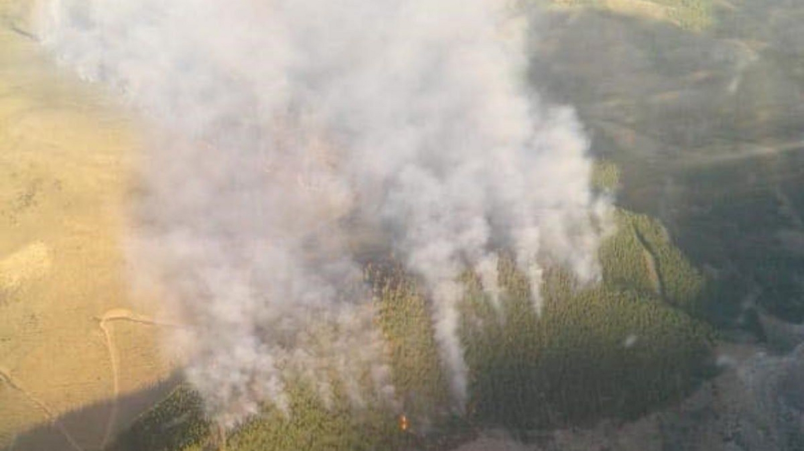 incendio1