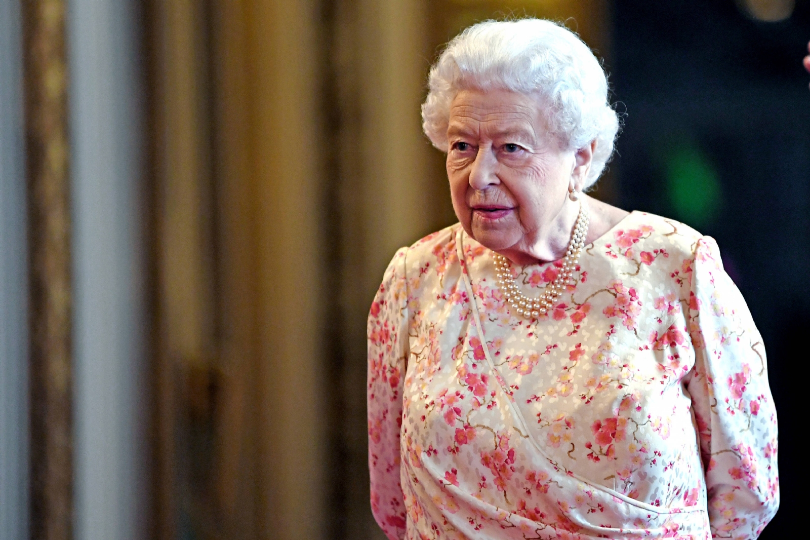 REINA ISABEL