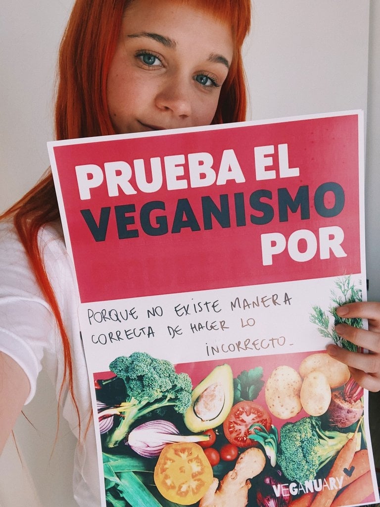 www.minutoneuquen.com veganuary1