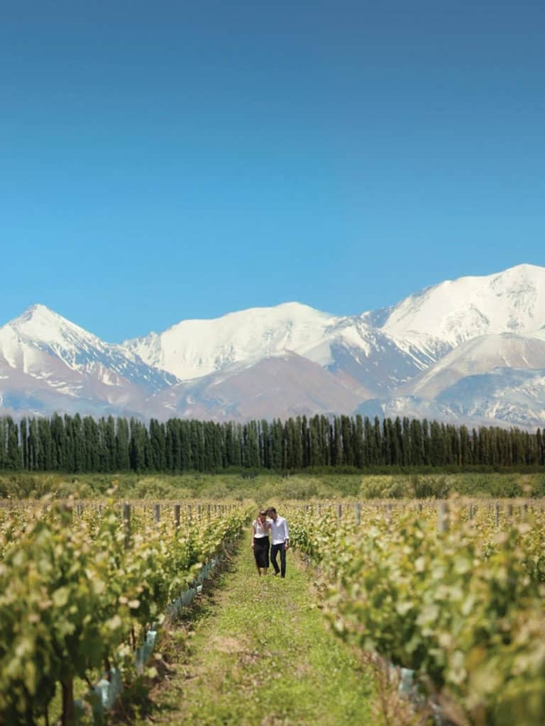 www.minutoneuquen.com mendoza1