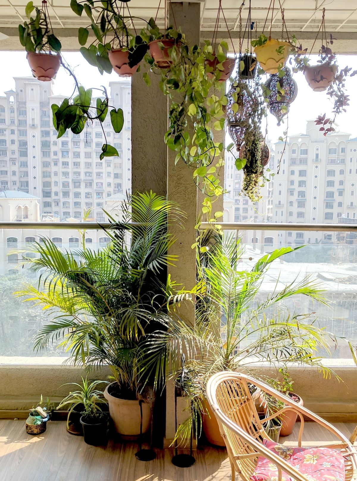 A-Balcony-Garden-In-Mumbai-Terrace-Reveal-6