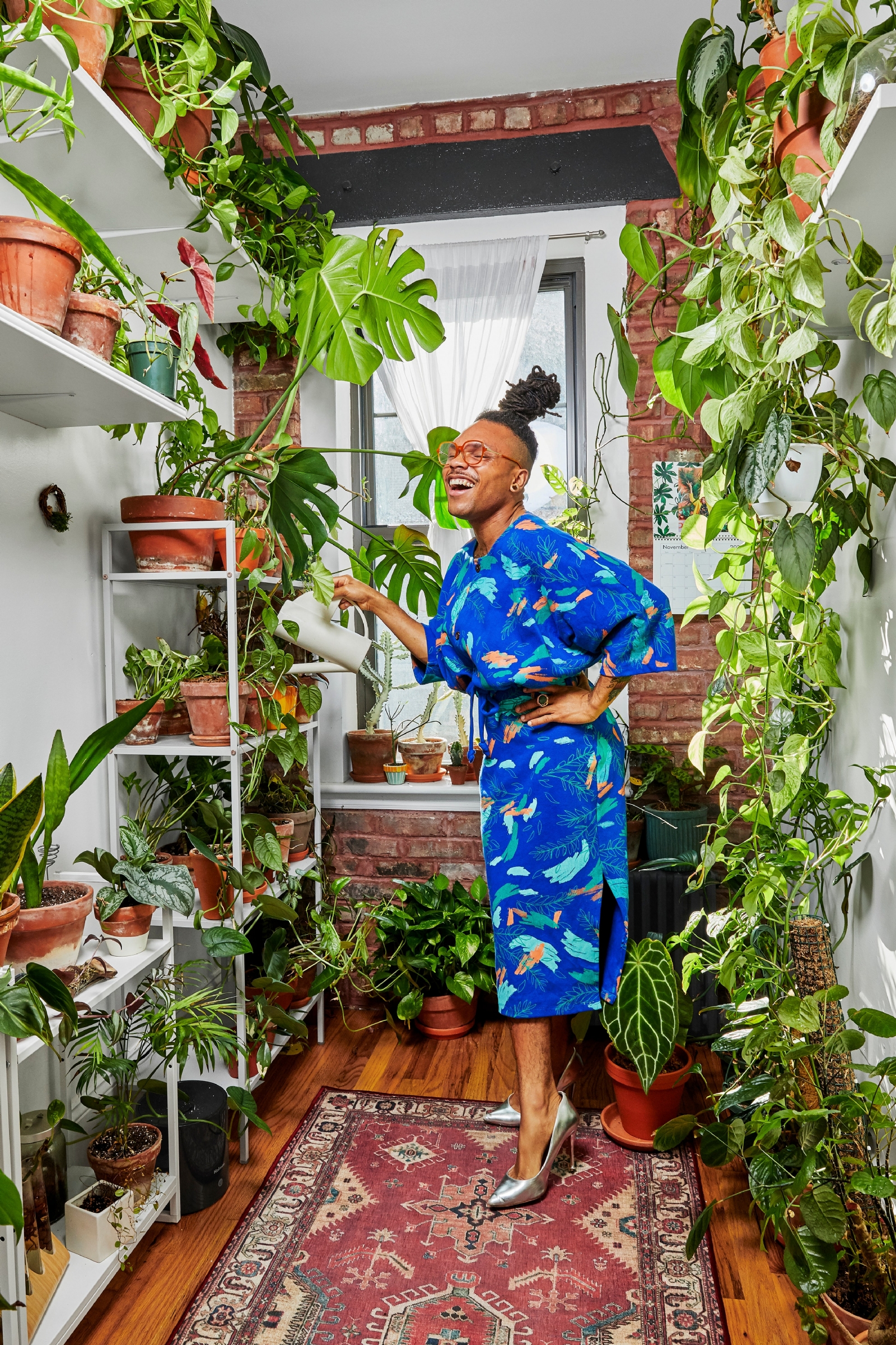 HLY-Home-Plant-Kween-Portraitjpg