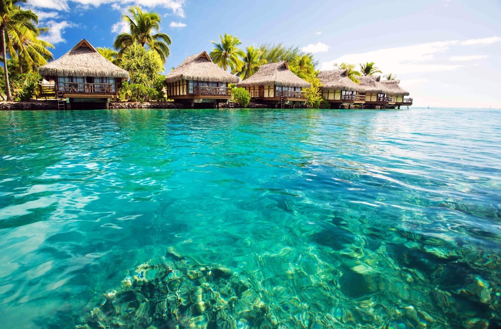 www.minutoneuquen.com bahamas2