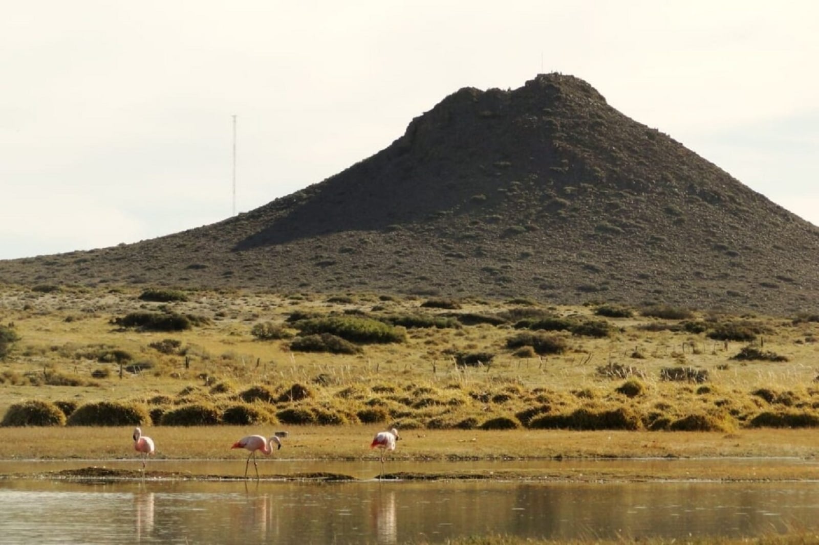 cerro-michacheo-1170x780