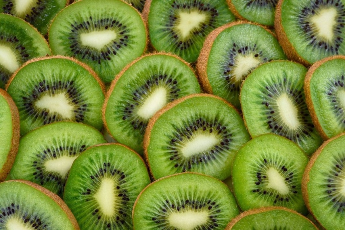 www.minutoneuquen.com kiwi00