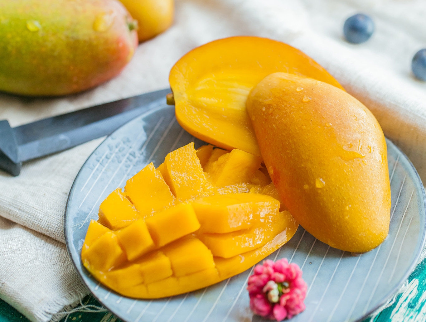 www.minutoneuquen.com mango1